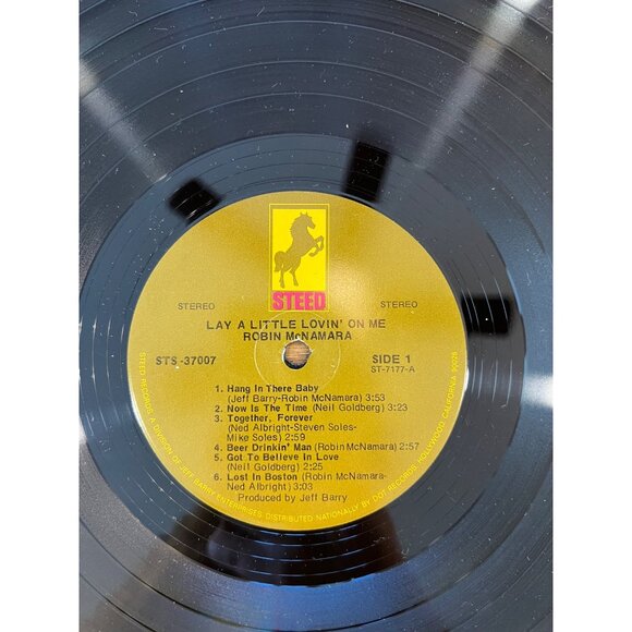 Robin McNamara "Lay A Little Lovin' On Me" Vinyl LP - Groovy Vibes  STS-37007 - Picture 3 of 6